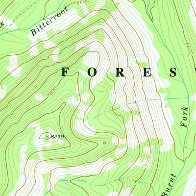 United States Geological Survey Burnt Fork Lake, MT (1974, 24000-Scale) digital map