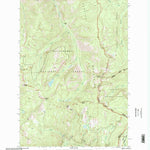 United States Geological Survey Burnt Fork Lake, MT (1998, 24000-Scale) digital map
