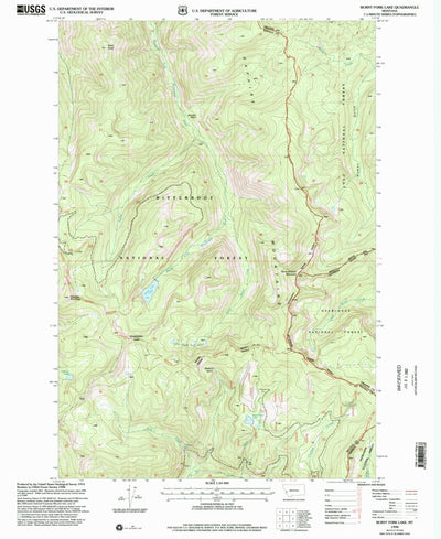 United States Geological Survey Burnt Fork Lake, MT (1998, 24000-Scale) digital map