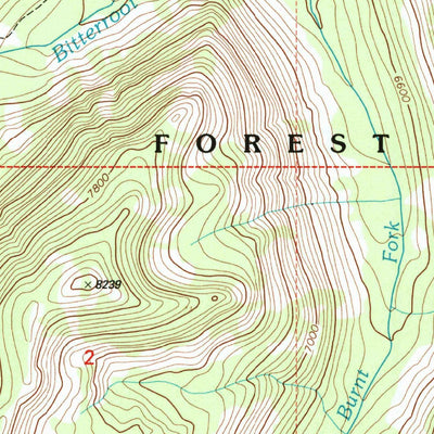United States Geological Survey Burnt Fork Lake, MT (1998, 24000-Scale) digital map
