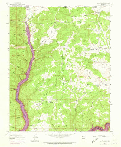United States Geological Survey Burnt Mesa, NM (1954, 24000-Scale) digital map