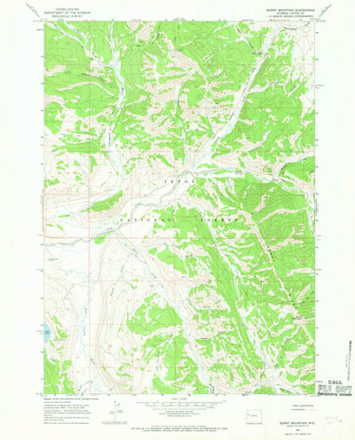 United States Geological Survey Burnt Mountain, WY (1965, 24000-Scale) digital map
