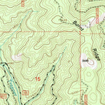 United States Geological Survey Burnt Ridge, MT (1998, 24000-Scale) digital map