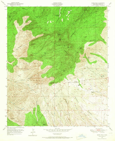 United States Geological Survey Burro Peak, NM (1950, 24000-Scale) digital map