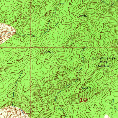 United States Geological Survey Burro Peak, NM (1950, 24000-Scale) digital map
