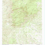 United States Geological Survey Burro Peak, NM (1992, 24000-Scale) digital map