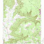 United States Geological Survey Burrow Cove, TN (1947, 24000-Scale) digital map