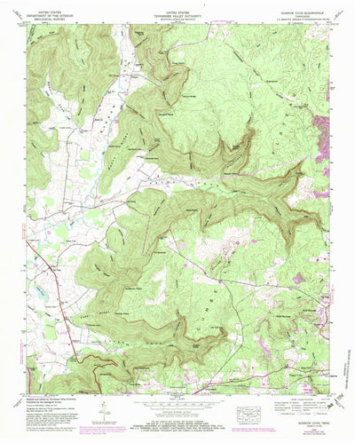 United States Geological Survey Burrow Cove, TN (1947, 24000-Scale) digital map