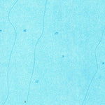 United States Geological Survey Burrwood Bayou West, LA (1971, 24000-Scale) digital map