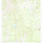 United States Geological Survey Bush, LA (1983, 24000-Scale) digital map