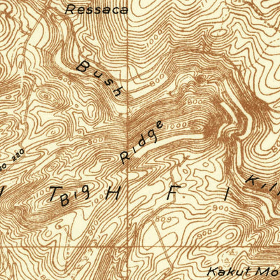 United States Geological Survey Bushkill, PA-NJ (1924, 48000-Scale) digital map