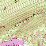 United States Geological Survey Bushkill, PA-NJ (1944, 24000-Scale) digital map