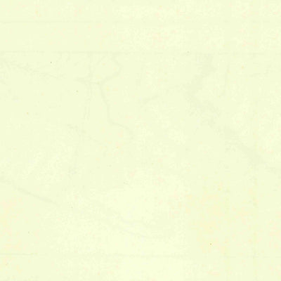 United States Geological Survey Bushnell, NC (1933, 62500-Scale) digital map