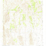 United States Geological Survey Bustos Well, NM (1972, 24000-Scale) digital map