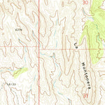 United States Geological Survey Bustos Well, NM (1972, 24000-Scale) digital map