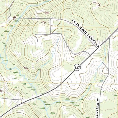 United States Geological Survey Butler West, GA (2020, 24000-Scale) digital map