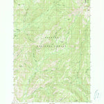 United States Geological Survey Butterfield Gulch, ID (1990, 24000-Scale) digital map