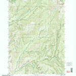United States Geological Survey Butterfield Gulch, ID (2004, 24000-Scale) digital map