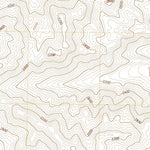 United States Geological Survey Buzzard Spring, CA (2021, 24000-Scale) digital map