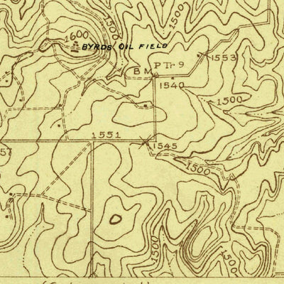 United States Geological Survey Byrds, TX (1924, 48000-Scale) digital map