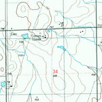 United States Geological Survey Cabery, IL (1998, 24000-Scale) digital map