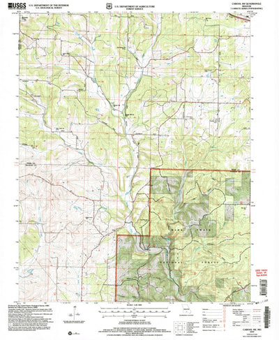United States Geological Survey Cabool SW, MO (2004, 24000-Scale) digital map