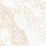 United States Geological Survey Cactus, CA (V3, 1963) digital map