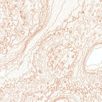 United States Geological Survey Cactus, CA (V3, 1963) digital map