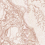 United States Geological Survey Cactus, CA (V4, 1963) digital map