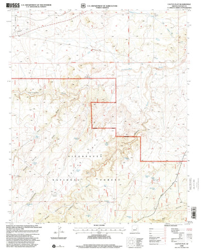 United States Geological Survey Cactus Flat, AZ (1998, 24000-Scale) digital map