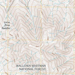 United States Geological Survey Cactus Mountain, OR-ID (2011, 24000-Scale) digital map