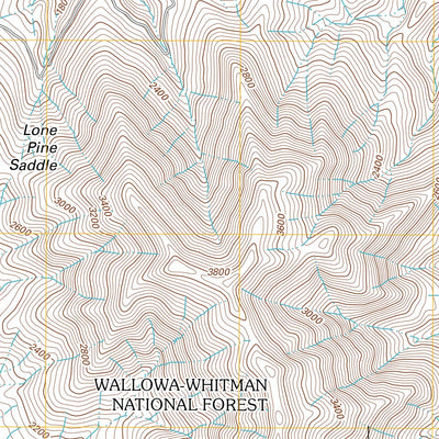 United States Geological Survey Cactus Mountain, OR-ID (2011, 24000-Scale) digital map