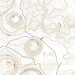 United States Geological Survey Cactus Peak, CA (2021, 24000-Scale) digital map