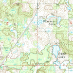 United States Geological Survey Cadillac South, MI (1983, 25000-Scale) digital map