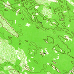 United States Geological Survey Cage Ranch, TX (1963, 24000-Scale) digital map