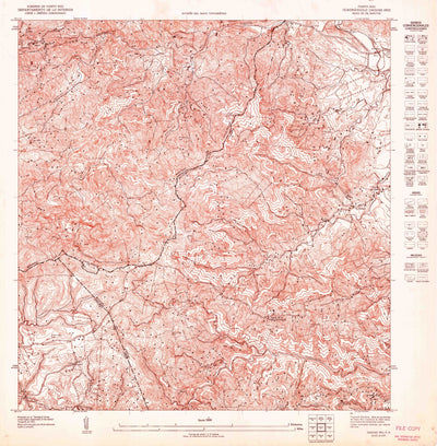 United States Geological Survey Caguas NW, PR (1947, 10000-Scale) digital map