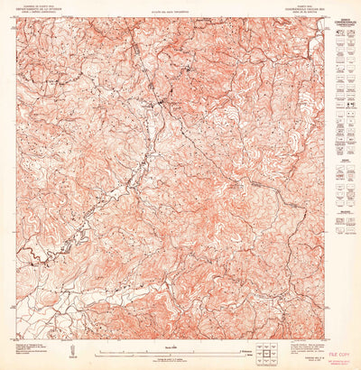 United States Geological Survey Caguas SW, PR (1947, 10000-Scale) digital map