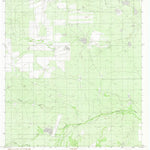 United States Geological Survey Caiman Creek NW, TX (1982, 24000-Scale) digital map
