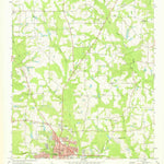 United States Geological Survey Cairo North, GA (1974, 24000-Scale) digital map