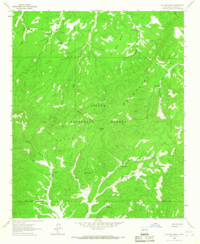 United States Geological Survey Cal Ship Mesa, NM (1963, 24000-Scale) digital map