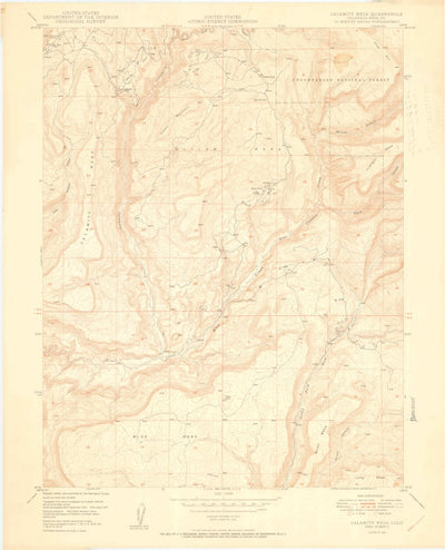 United States Geological Survey Calamity Mesa, CO (1950, 24000-Scale) digital map