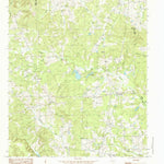 United States Geological Survey Caledonia, TX (1984, 24000-Scale) digital map