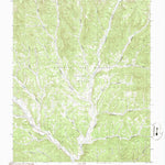 United States Geological Survey Caliente Canyon South, NM (1986, 24000-Scale) digital map