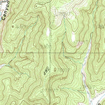 United States Geological Survey Caliente Canyon South, NM (1986, 24000-Scale) digital map