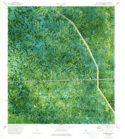 United States Geological Survey California Slough, FL (1974, 24000-Scale) digital map