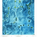 United States Geological Survey Calusa Keys, FL (1972, 24000-Scale) digital map