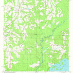 United States Geological Survey Calvary, GA-FL (1982, 24000-Scale) digital map