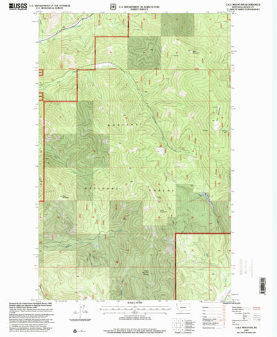 United States Geological Survey Calx Mountain, MT (1997, 24000-Scale) digital map