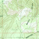 United States Geological Survey Camas Prairie, WA (1983, 24000-Scale) digital map
