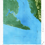 United States Geological Survey Camden Point, NC (1982, 24000-Scale) digital map